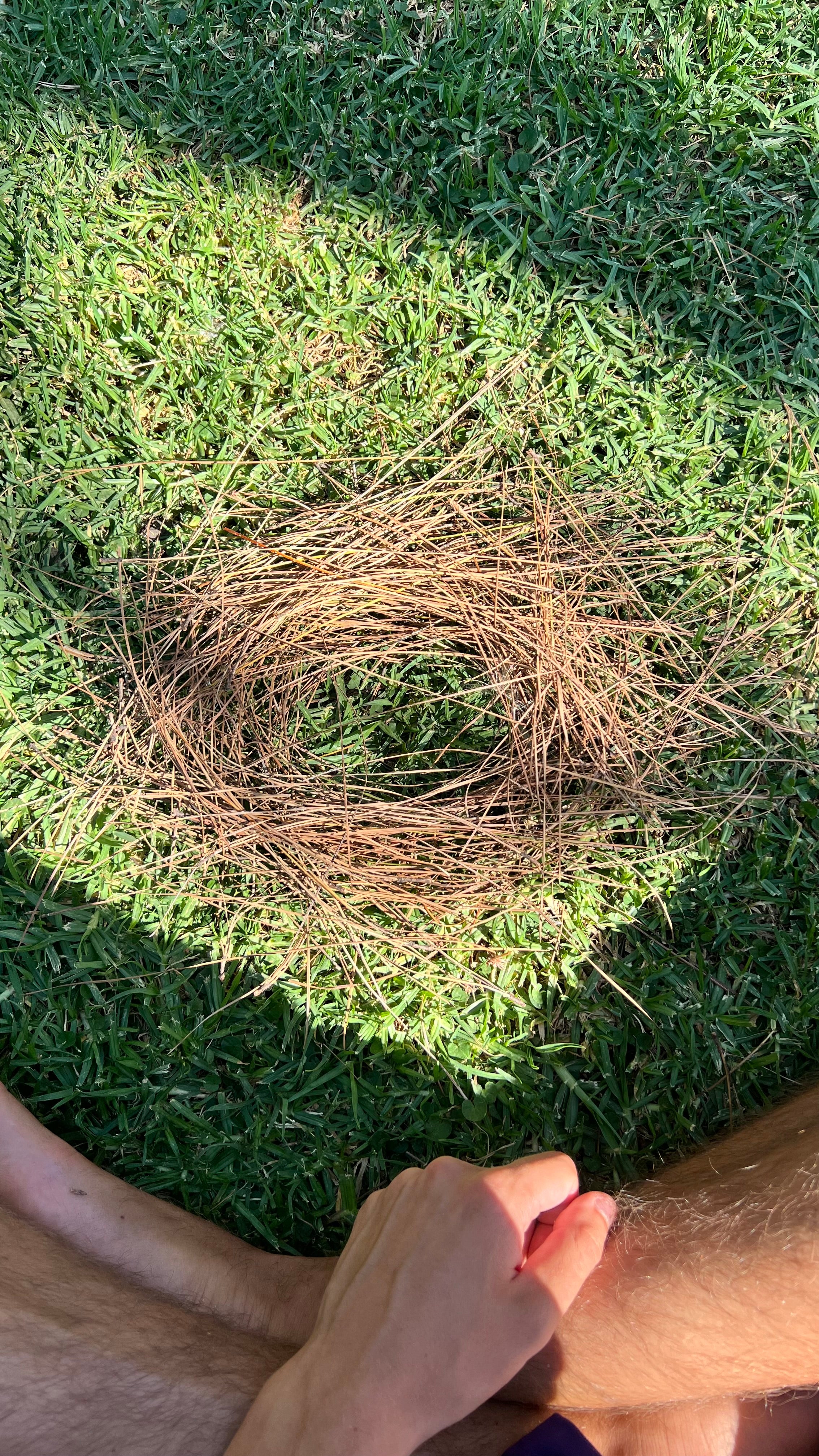 Limpieza Energética Personalizada